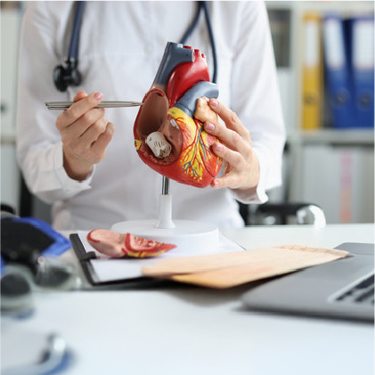 循環器内科イメージ写真